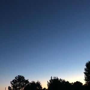 Meet your Posher, Dylan